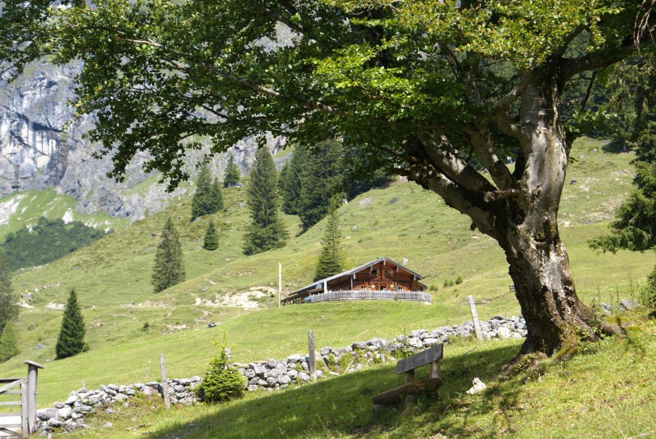 Das Sonneck Muhlbach Am Hochkonig Exterior photo