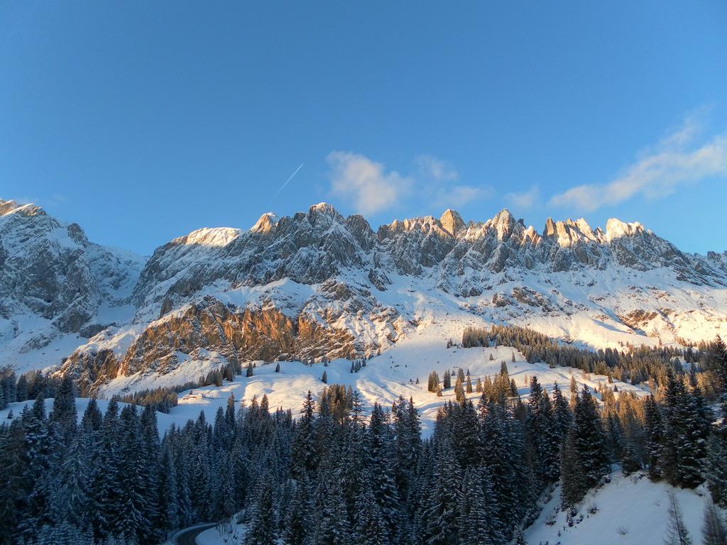 Das Sonneck Muhlbach Am Hochkonig Exterior photo