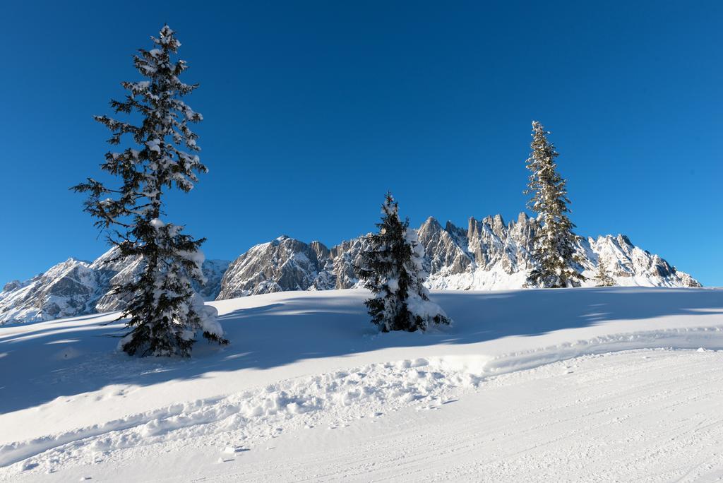 Das Sonneck Muhlbach Am Hochkonig Exterior photo